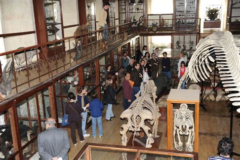 Museu de História Natural da Universidade de Shiyan: Uma Jornada Fascinante Através do Tempo Geológico!