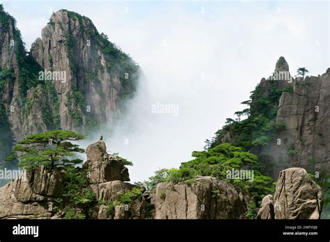 A Cânion do Huangshan: Uma Dança de Picos e Nuvens Misteriosas!