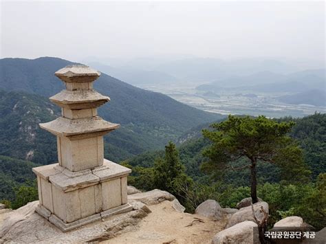 Parque Nacional de Gyeongju! Um Refúgio Histórico e Natural no Coração da Coreia