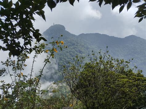 Parque Shifosi, Uma joia escondida de beleza natural e história ancestral!